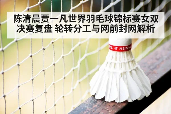 badminton net play close up